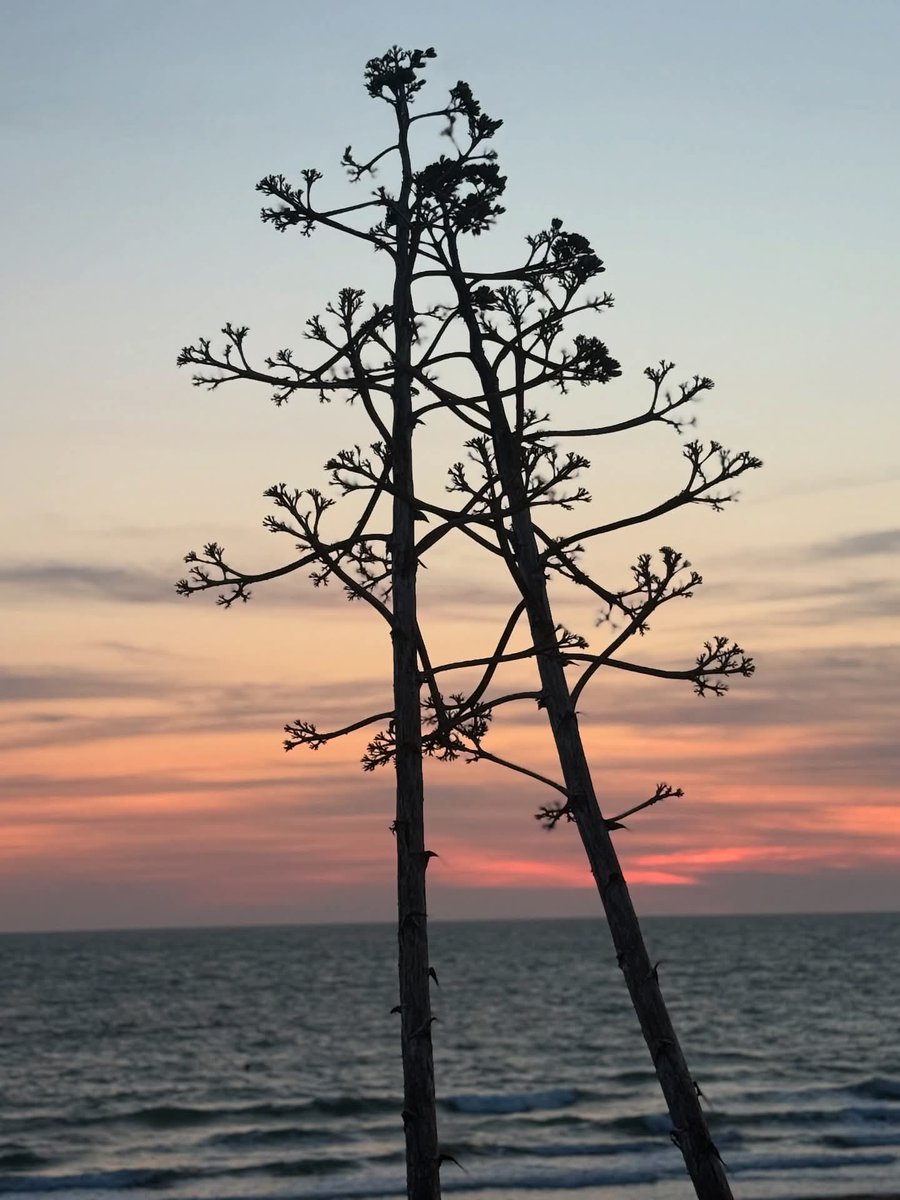 Hay puestas de sol y luego estan las del sureste de España !!! 🥰