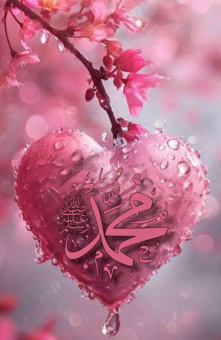 حمدى ابراهيم يحيى عباس المرادنى (@almradnyhmdy) on Twitter photo 