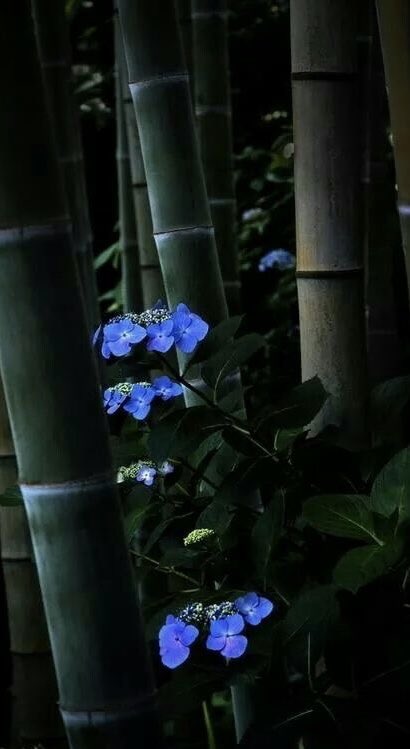 MoMA (@moriahmasashi) on Twitter photo 