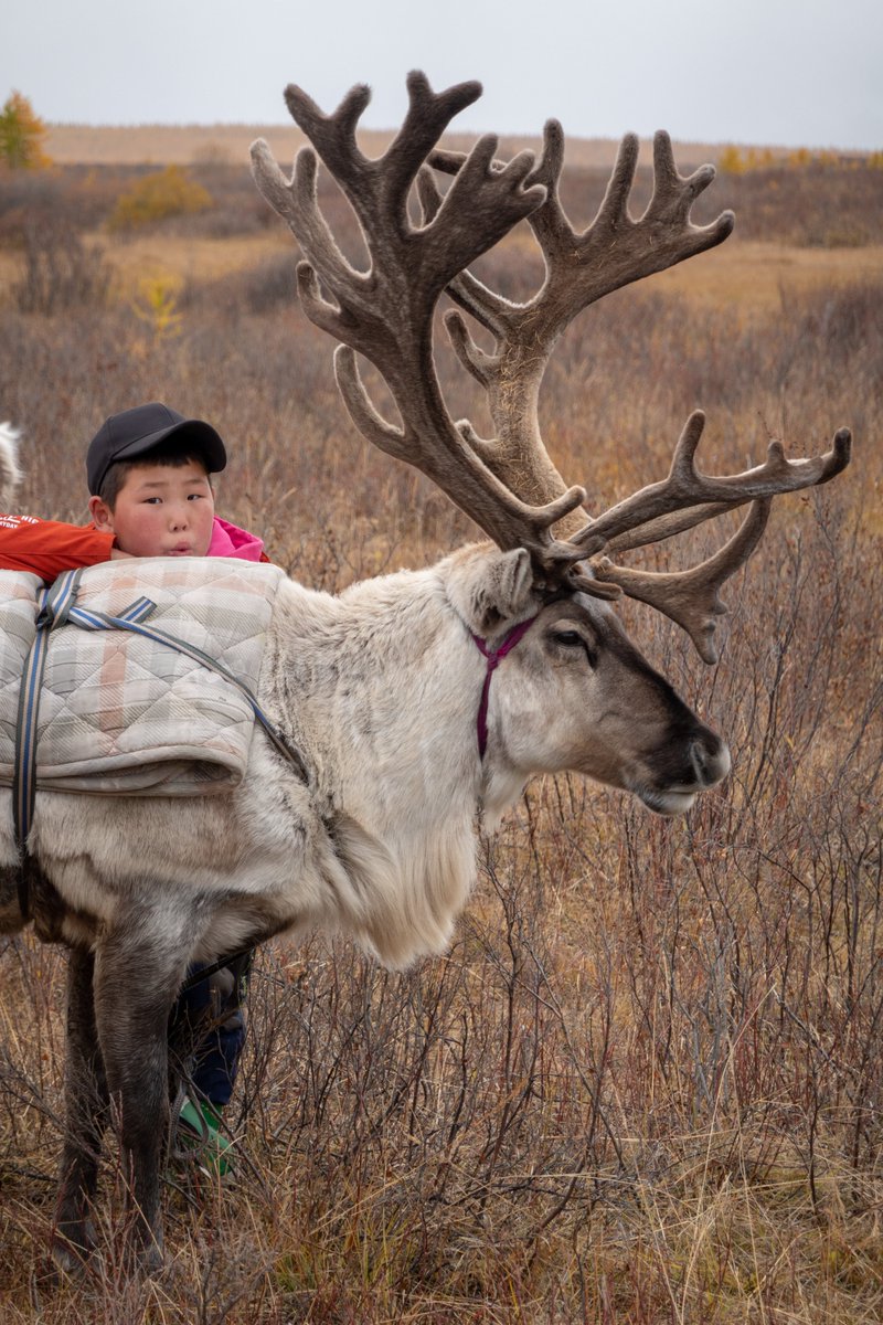 First day in Wisconsin that feels like summer -- 80°F! So, I'll think back to more winter-y themes 🎅