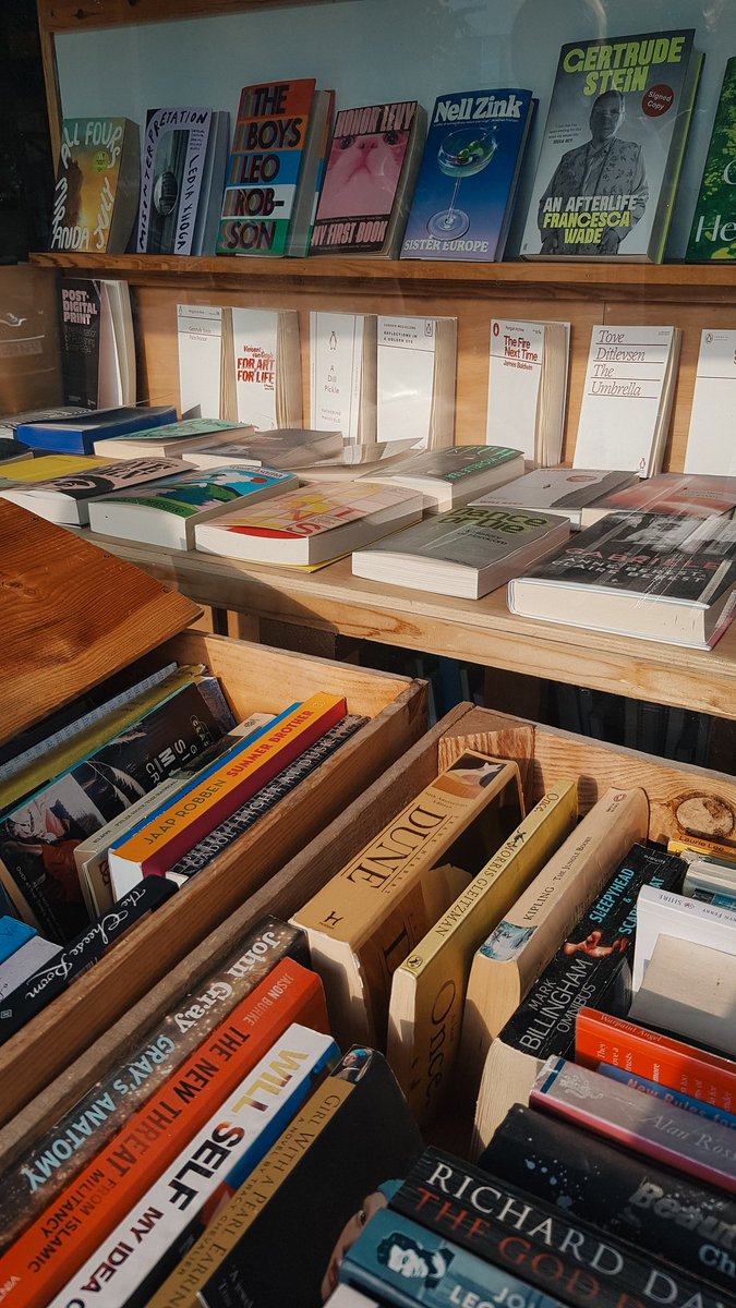 Elena de Astorza tweet media