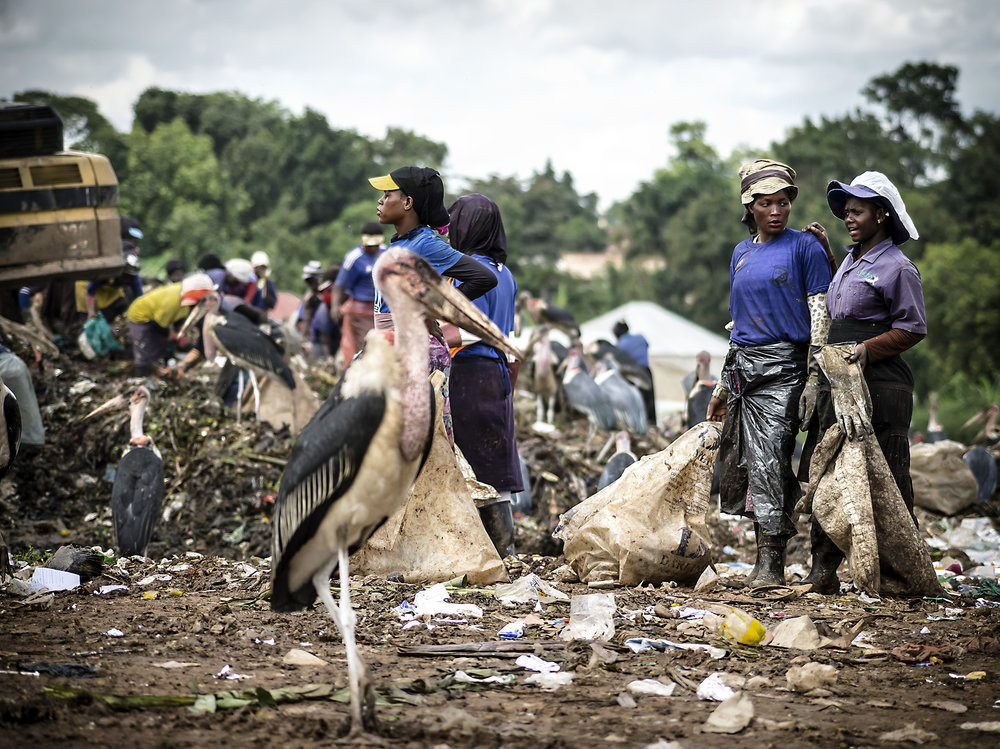 EcoHavenary's tweet image. 🗑️ Uganda produces over 2.5M tons of waste yearly.
Only 40% gets collected.
The rest? Ends up in our streets, drainage, or is burned — polluting our air, water &amp;amp; soil.
This isn’t just a government problem. It’s OURS too.
A thread 🧵👇
#EcoHavenary #WasteFreeUganda #Ugandans