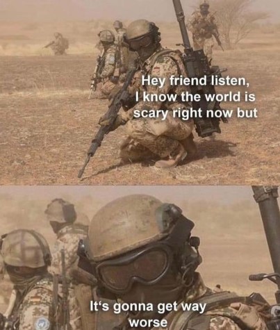 𝙉𝙞𝙛 tweet media