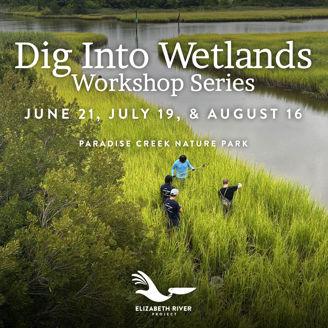 Join USACE Wetland Delineator Rowen Schmidt to discover the ecology of the Tidewater Region’s salt marshes &amp; gain hands-on experience learning how climate, geology, &amp; other factors shape these ecosystems. Learn more &amp; register for this event series: brnw.ch/21wTtZZ