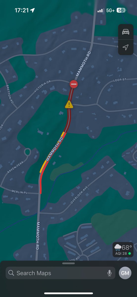 Road Closure Alert!‼️ 

Mammoth Road between Merlin Place and Pine Street is currently closed due to a tree down. 

Please seek an alternate route.