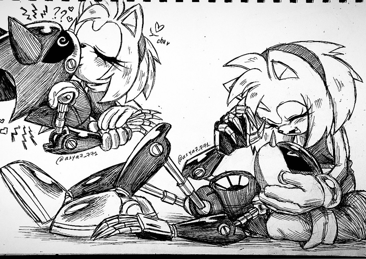 Old metamy doodles <3

#metamy #amyrose #metalsonic