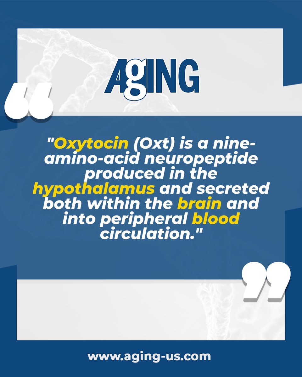 🔆 #PaperSpotlight:
A new #research paper was #published on May 1, 2025, entitled “Oxytocin modulates insulin and GLP-1 secretion in pancreatic islets.”

🔗 doi.org/10.18632/aging…

#aging #quote #oxytocin #insulin #pancreas #oa #peerreviewed #journal #publishing #meded