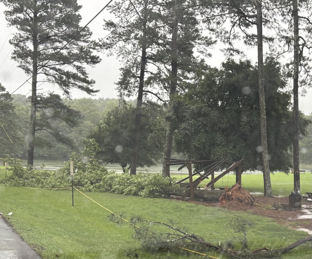 Tom Hall tweet media