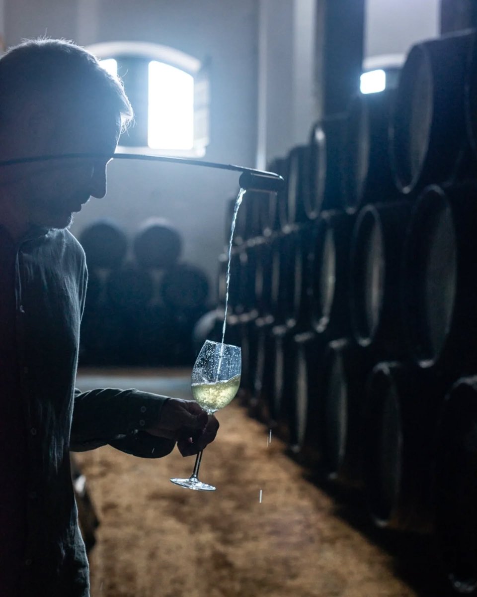 Semana de la Manzanilla en <a href="/barbadillo/">Bodegas Barbadillo</a> 🍇

Visita + cata vertical de sus Manzanillas en Rama.

📅 Viernes 27 de junio
📞 Reserva ya en el 956 38 55 21. Plazas limitadas.