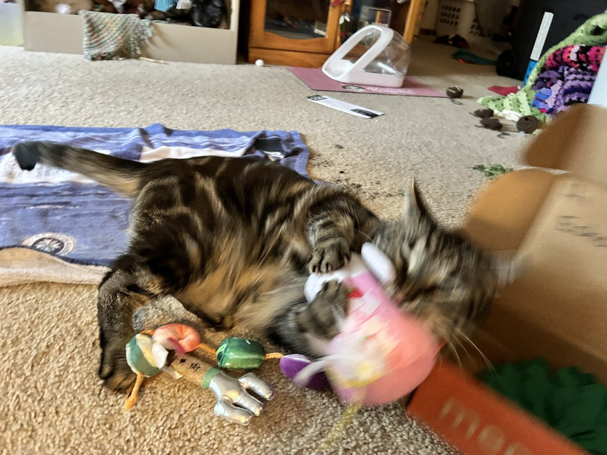 SaMindy 💜🤍🖤 tweet media