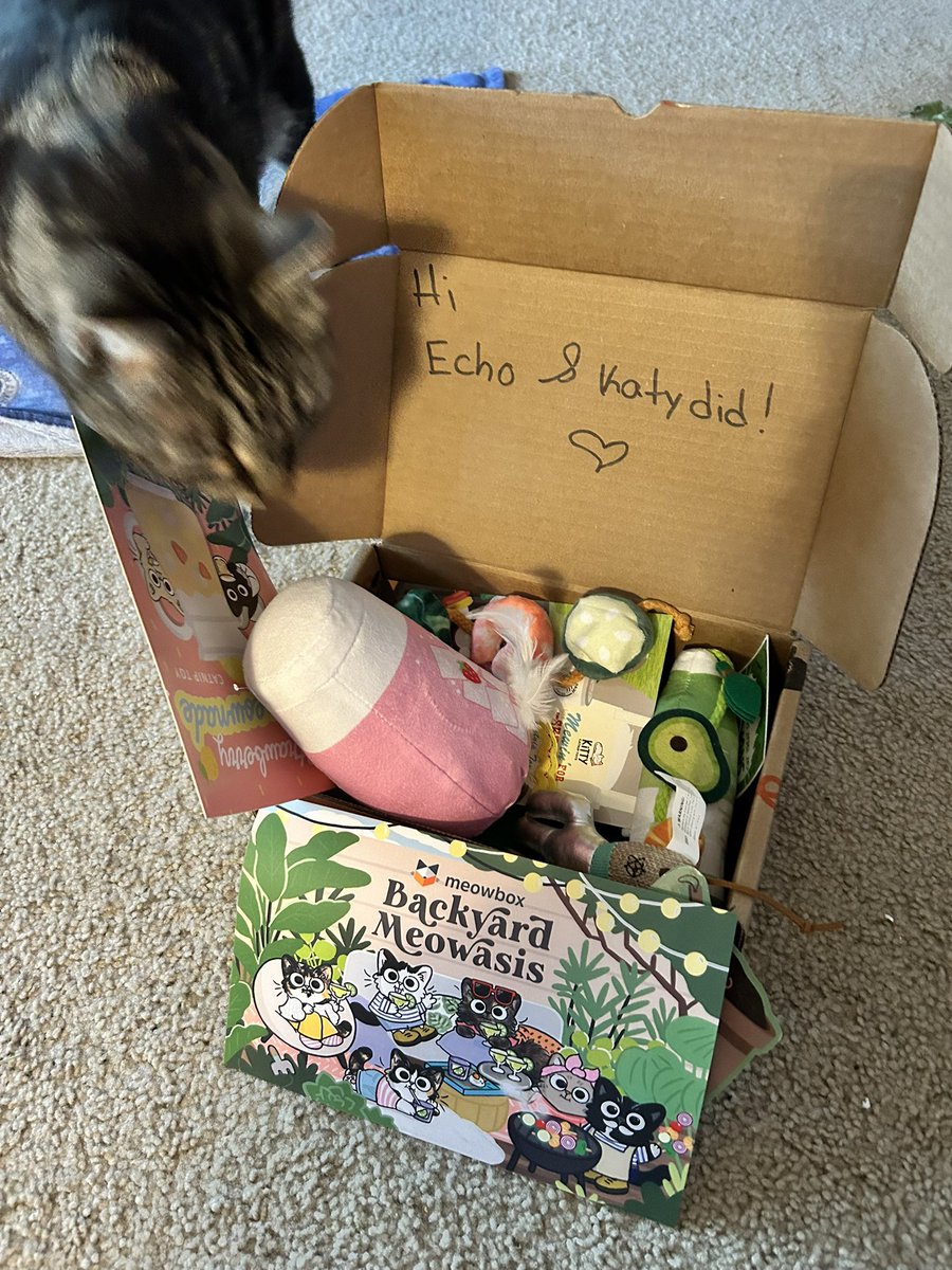 SaMindy 💜🤍🖤 tweet media