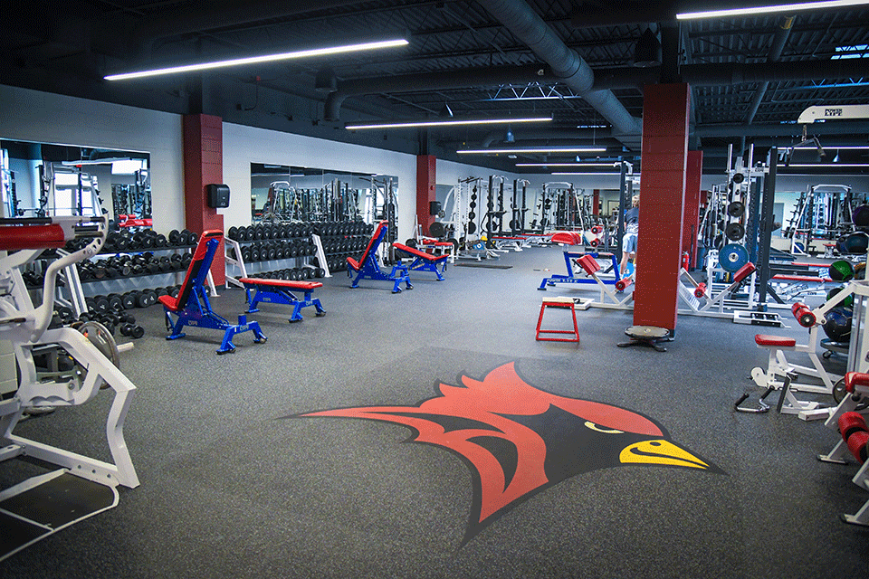 Interested in building a science-based approach for promoting health and improving athletic performance in the health and fitness industries and beyond? 

Athletic Performance (B.S.) majors at SJF are integrating sports psychology, functional health, biomechanics, and more!