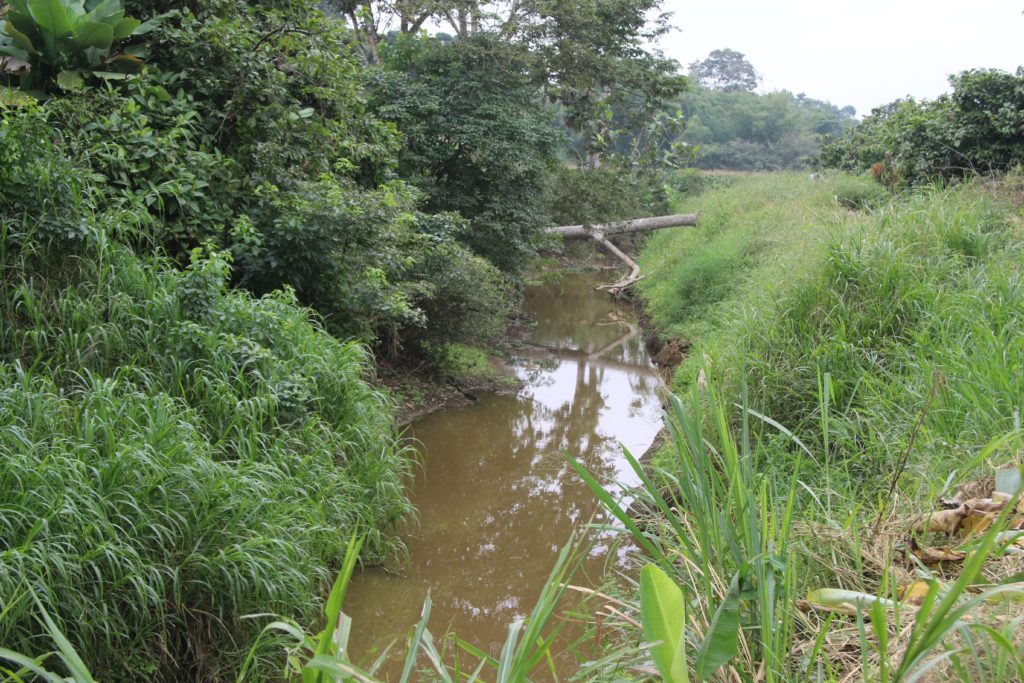 OIJ atiende hasta 110 casos anuales por delitos ambientales contra humedales y bosques goo.su/DRBkEd #NM935
