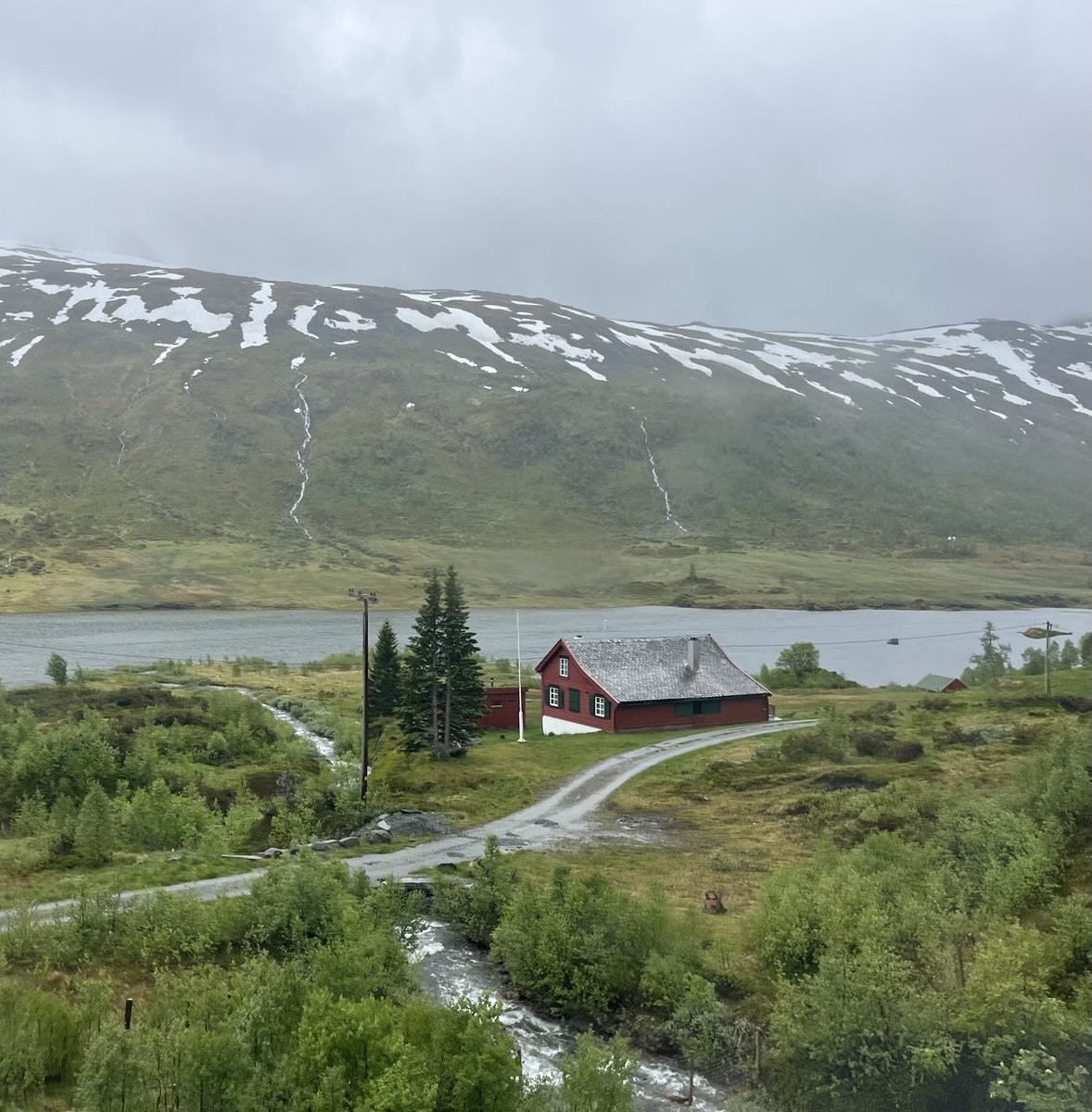 A stunning view of a Norwegian summer! 🌲