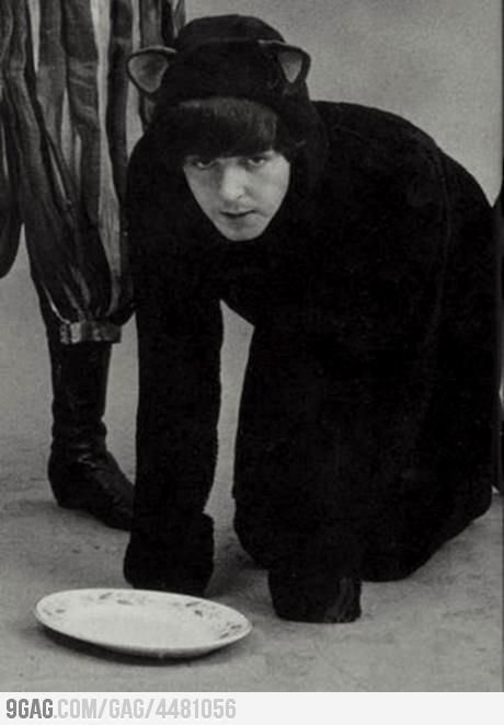 paul mccartney turns 83 today. i had no choice but to drop 83 photos of this man♥️