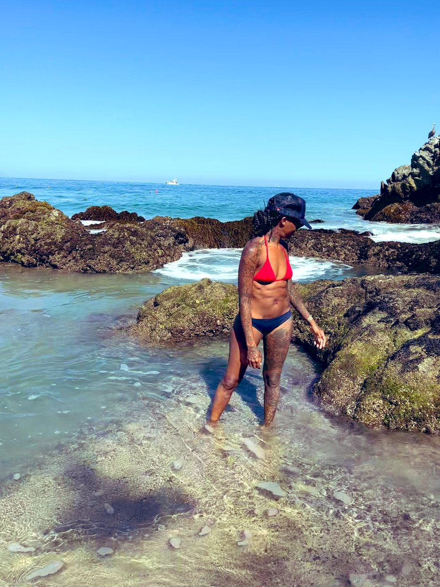 kkboogie's tweet photo. Imagine hating on me and I'm out searching for sea shells 😂🐚🌊🦀🐟🐠🌴 https://t.co/aznTPTPnkO