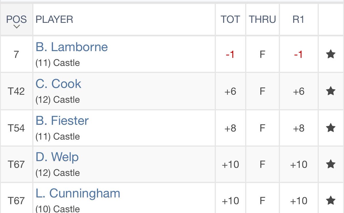 Castle HS Golf tweet media