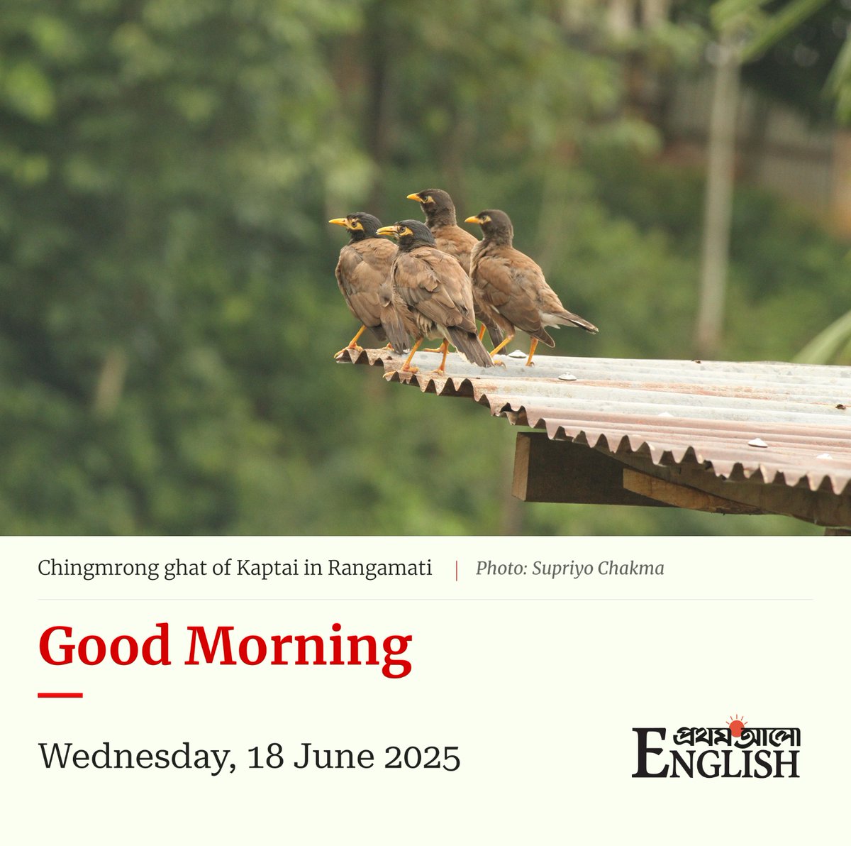 Prothom Alo English (@prothomaloen) on Twitter photo 