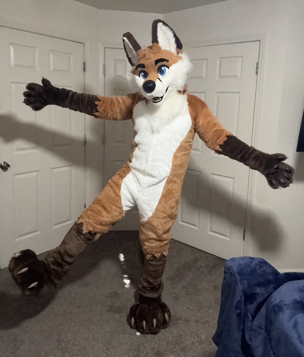 Scott Fox tweet media