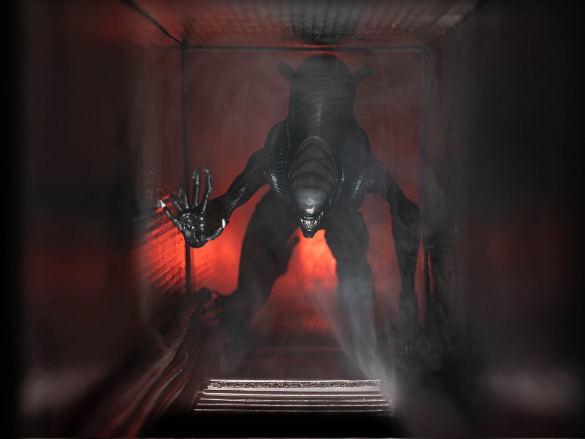 Rob Watson Photography (@robkwatson) on Twitter photo "Aliens"
My entry for this month's competition in my photography club. The theme was Name Of A Movie.
#Alien #Aliens #Neca #Nikon #D7500 #Xenomorph
<a href="/Alien_Theory/">Alien Theory</a> <a href="/avpgalaxy/">Alien vs. Predator Galaxy</a> <a href="/NECA_TOYS/">NECA</a> "Aliens"
My entry for this month's competition in my photography club. The theme was Name Of A Movie.
#Alien #Aliens #Neca #Nikon #D7500 #Xenomorph
<a href="/Alien_Theory/">Alien Theory</a> <a href="/avpgalaxy/">Alien vs. Predator Galaxy</a> <a href="/NECA_TOYS/">NECA</a>