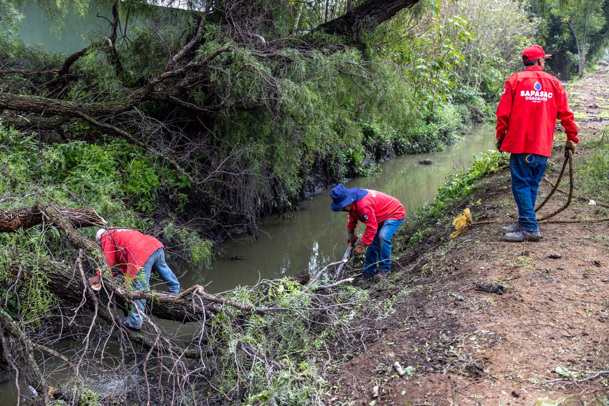 GobCoacalco2022's tweet image. #SAPASAC realizó labores de limpieza en el canal y el muro de contención de la calle Palma Canaria, en Rancho la Palma.

Se retiraron ramas, maleza y residuos acumulados para evitar taponamientos y reducir riesgos durante la temporada de lluvias.

#ContinuidadDeBuenosResultados