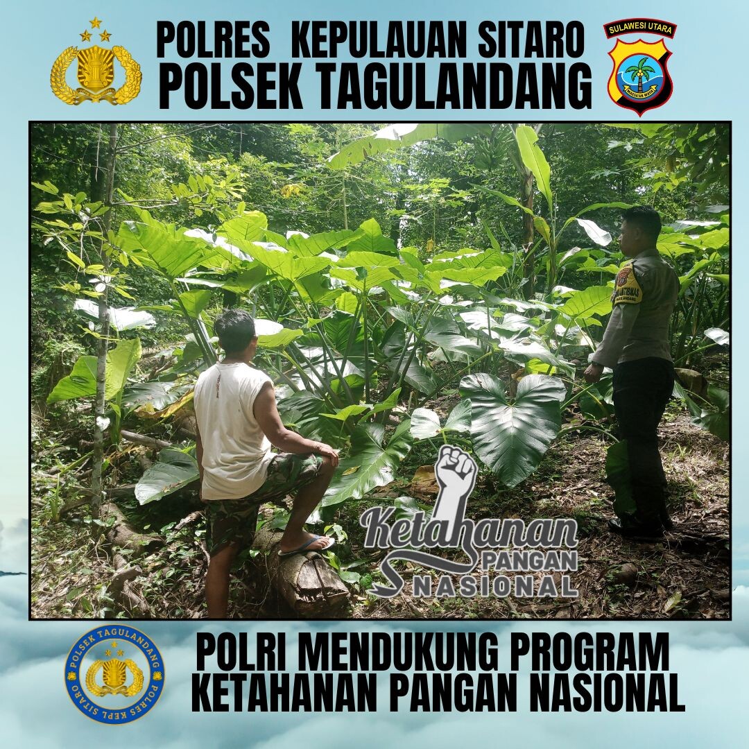 putrayws's tweet image. POLSEK TAGULANDANG POLRES KEPL SITARO MENDUKUNG PROGRAM KETAHANAN PANGAN
#astacita
#swasembadapangan
#ketahananpangan
#polirimendukungketahananpangan
#polisicintapetani
#swasembadapanganpoldasulut
#ketahananpanganpoldasulut
#ketahananpanganpolreskepulauansitaro
#poldasulut
#sulut
