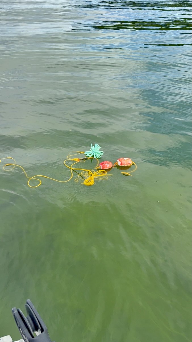 As we have learned in #eastpalestine OH, #conyers GA, #mosslanding CA, and other chemically impacted communities, mixtures of chemicals and synergistic toxicity appear to be relevant to potential human exposures and reported health issues.

Are mixtures of chemicals combined with