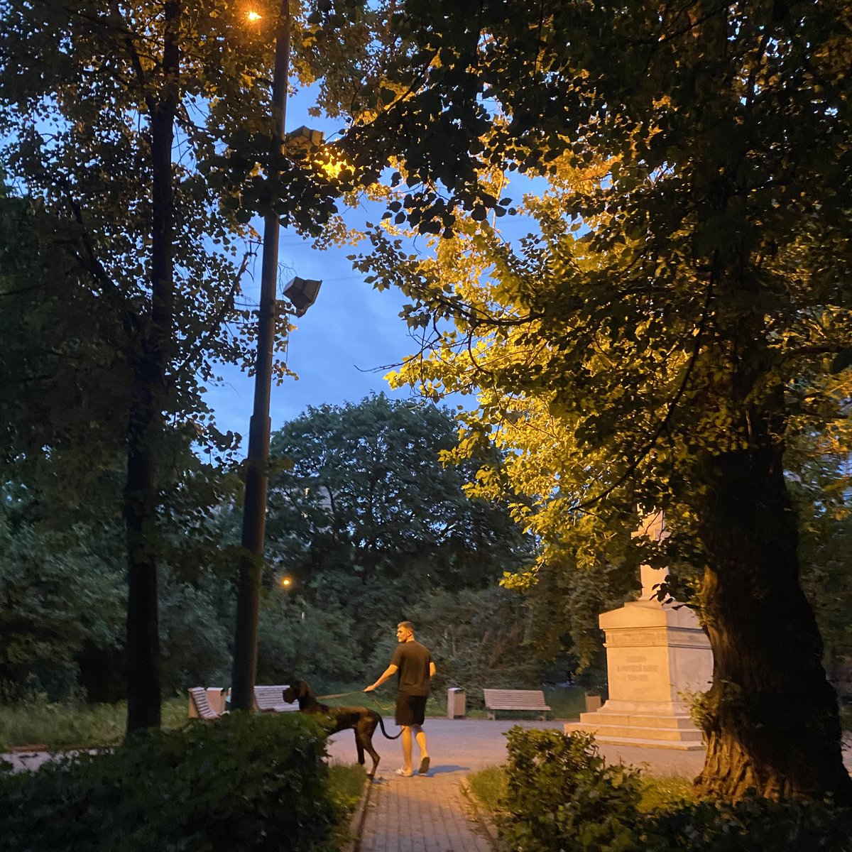 Я уселся и сижу: такое я не вывожу…