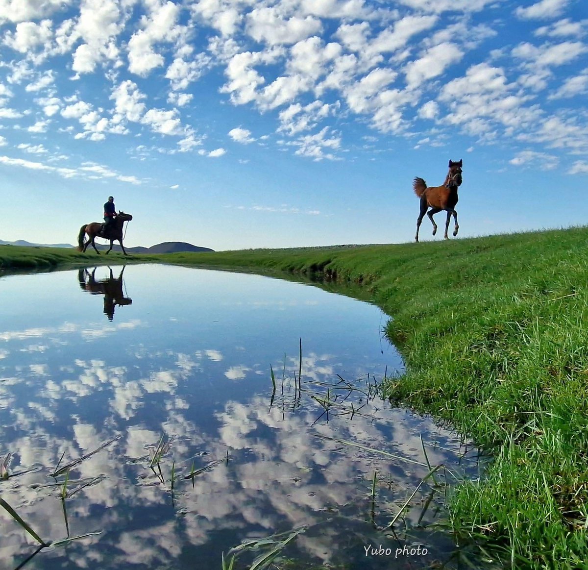 "Тэнгэр, модод, цэцэгс, ер нь юм бүхнээс баяр баясгаланг олж болно. Олж харахыг хүссэн хүн бүхний төлөө цэцэгс хаа сайгүй л дэлгэрч байдаг." 📚 

~ Г. Аюурзана

ӨГЛӨӨНИЙ МЭНД  ...