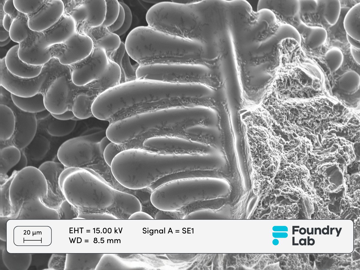 The word #dendrite comes from Greek “dendron” — meaning tree. 🌳

Here’s why.
This A356 Al-alloy riser, cast at Foundry Lab, shows crystal structures that form during solidification — branching just like trees.

Real metal. Real science.
📸 #DigitalMetalCasting #Metallurgy