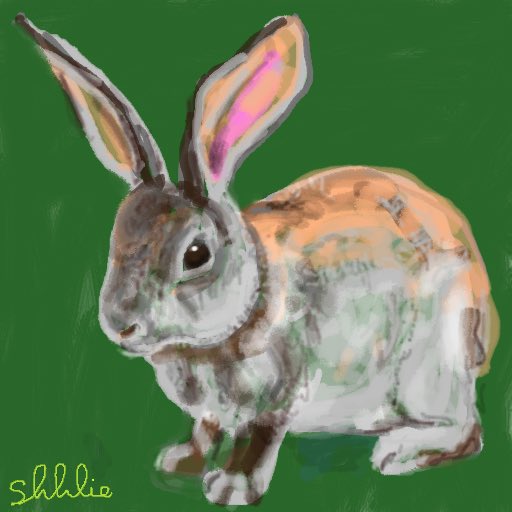 Doodling with a mouse in Rust