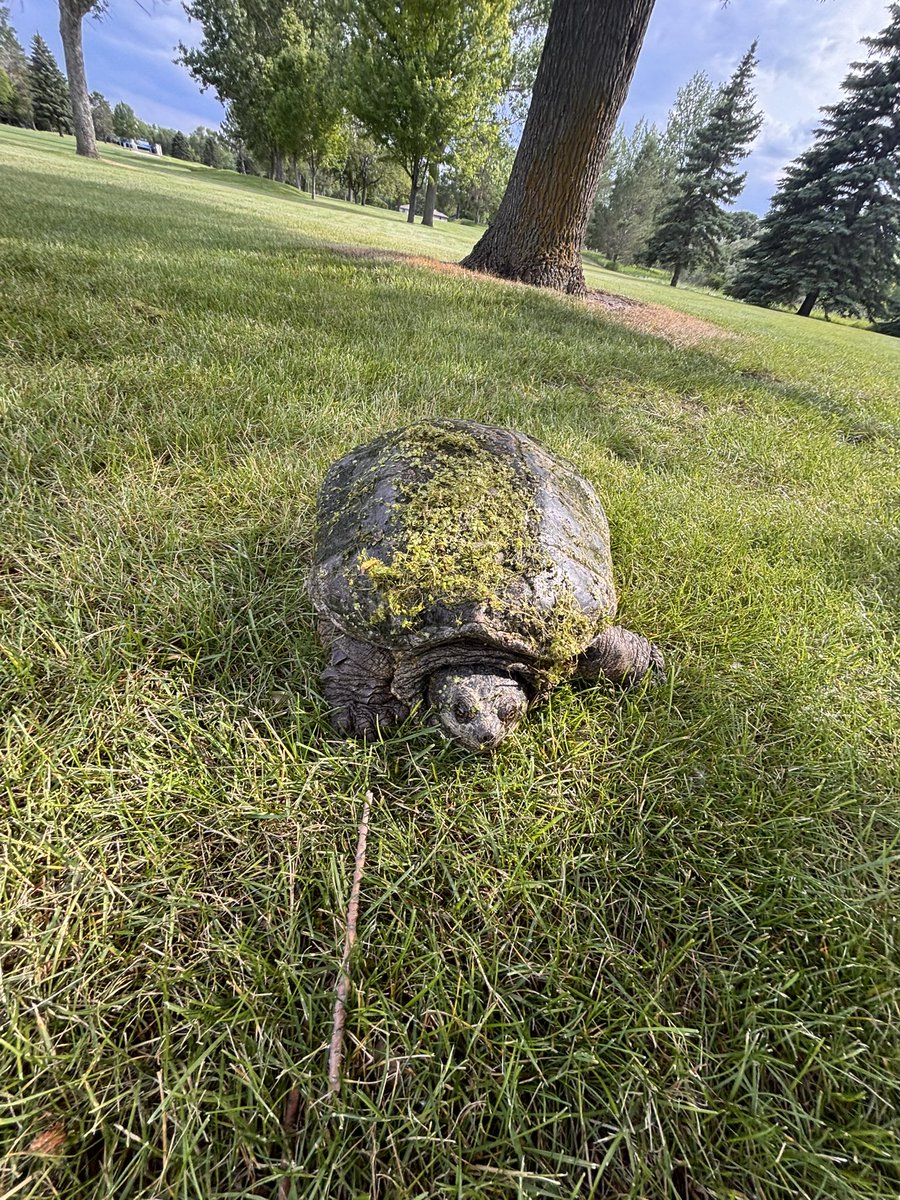 Look what I found at Moc