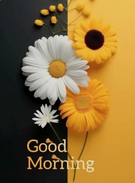 Сайхан өглөөний мэнд. Амжилт  дүүрэн байгээ.