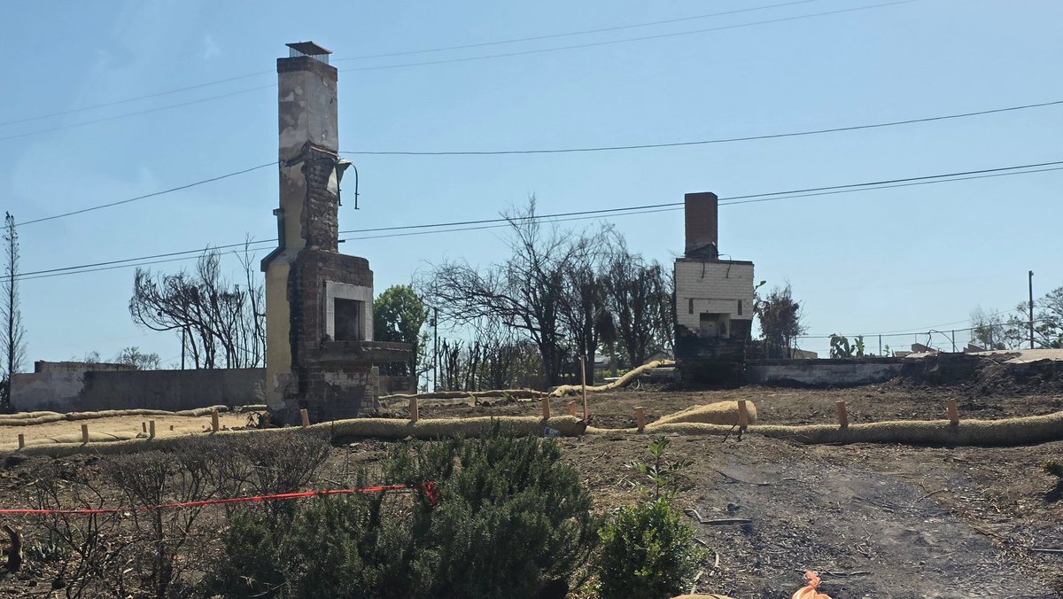 MeniEvenIsrael's tweet image. In Pacific Palisades, the fire left nothing but chimneys—ghosts of homes that once stood.
The silence speaks louder than words.
But from ash, we rebuild.
#PacificPalisades #LAfires #Day45 #MeniWanders