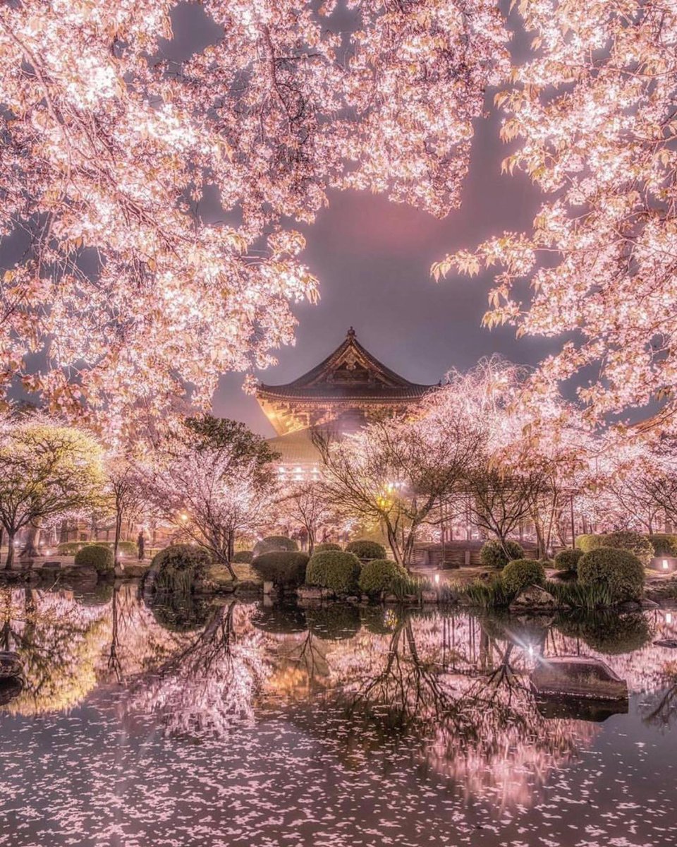 Kyoto, Japan.