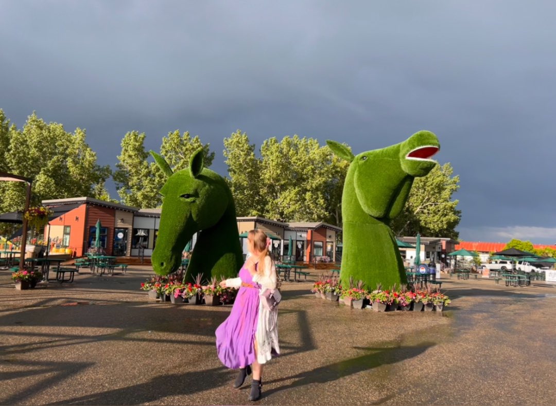 caroline56green's tweet image. 🐴
#SpruceMeadows
#SpruceMeadowsMusic
🎶
#CityandColour
#DallasGreen
🏡

📍
#Calgary | #YYC,
#Alberta
🌃