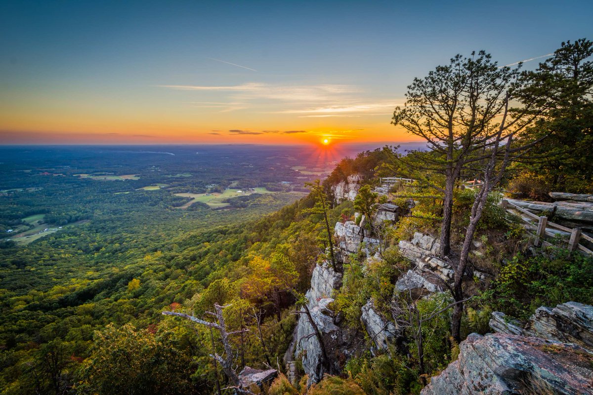 Every week, Carolina Forward sends out 1-2 emails with clear, concise and reliable information about what's happening in North Carolina's state government.

Sign up here to receive our updates and learn more about what's happening here in NC:
secure.everyaction.com/OTQ83wqlLUGg3v…
