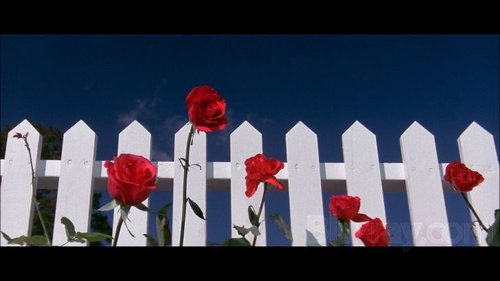 I rewatched the opening scene and wow. I totally see what you mean. guess I live in a David Lynch universe