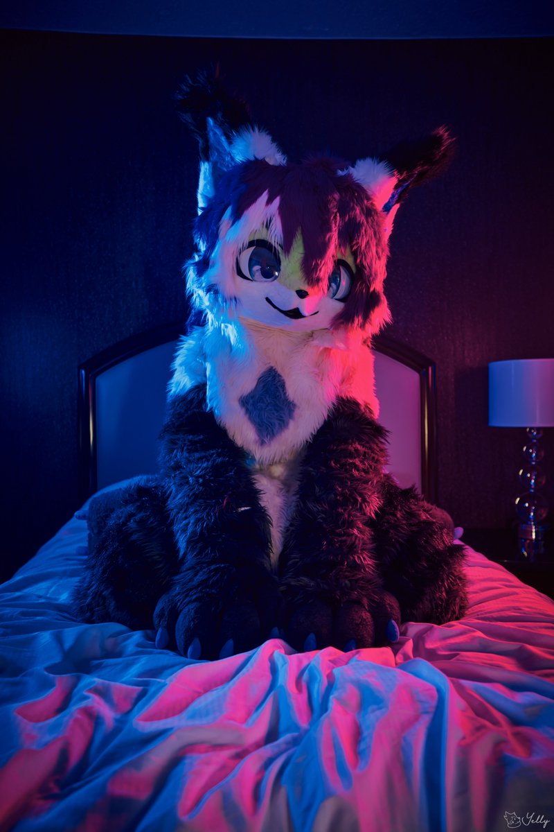 wolf cat

📷@yellyxp