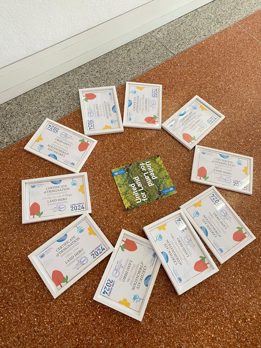 Manal Bidar tweet media