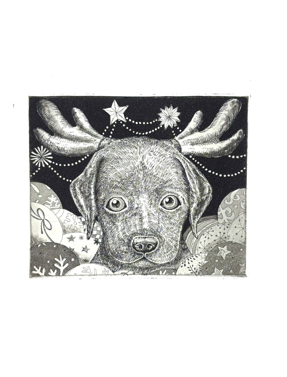 junco_1113's tweet photo. 銅版画、逆算して考えるのに苦労したけど、先生が優しくて、クラスの雰囲気も良くて楽しかった。クリスマスわんこ。
#ムサビ通信 #銅版画 https://t.co/aTjU6JJFim
