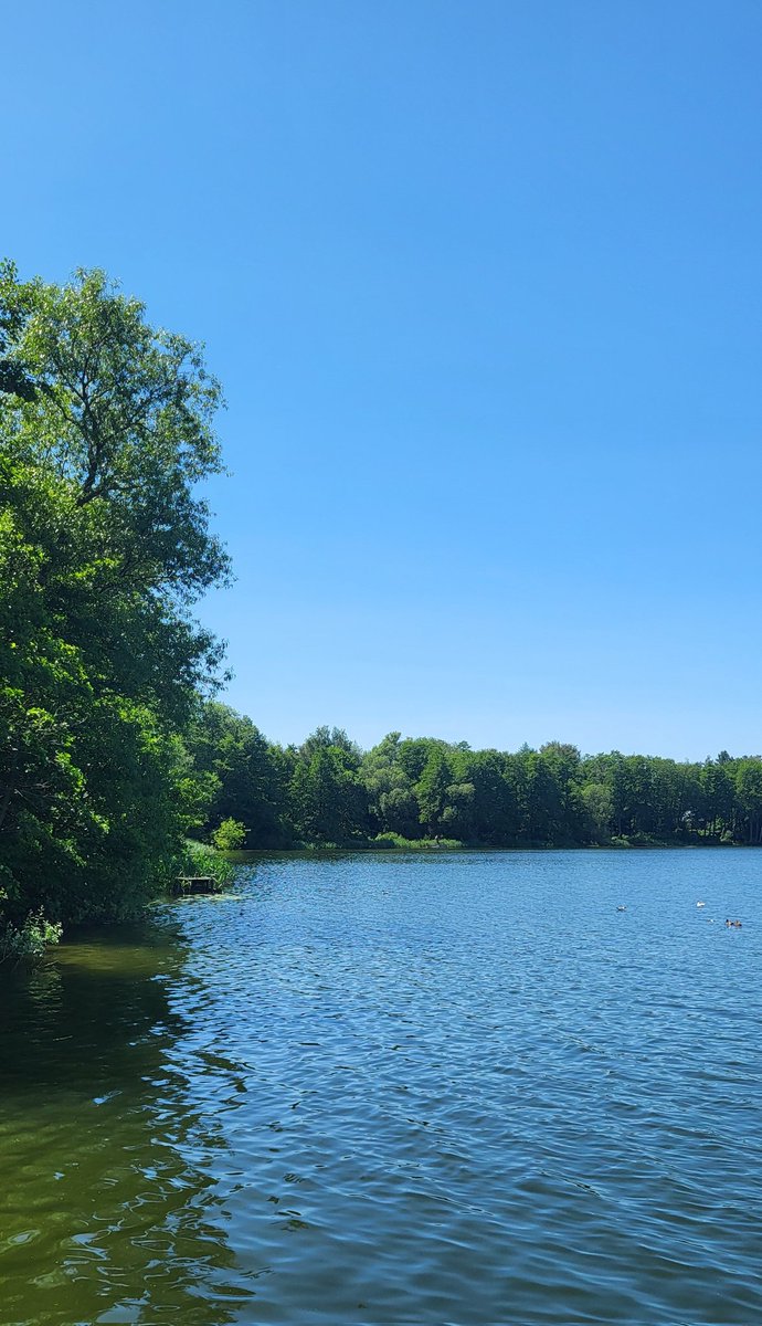 DzikiMesjasz⚡ tweet media