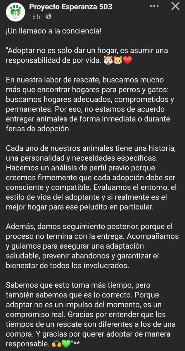 ProyectoEsperanza503 tweet media