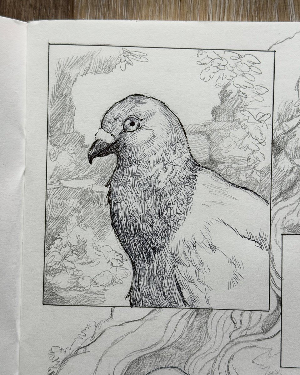 Dave Mottram tweet media