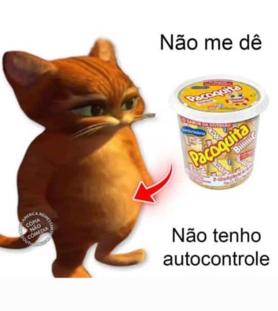 se a terra não é plana como explica o céu reto? (@moreiraviw) on Twitter photo 