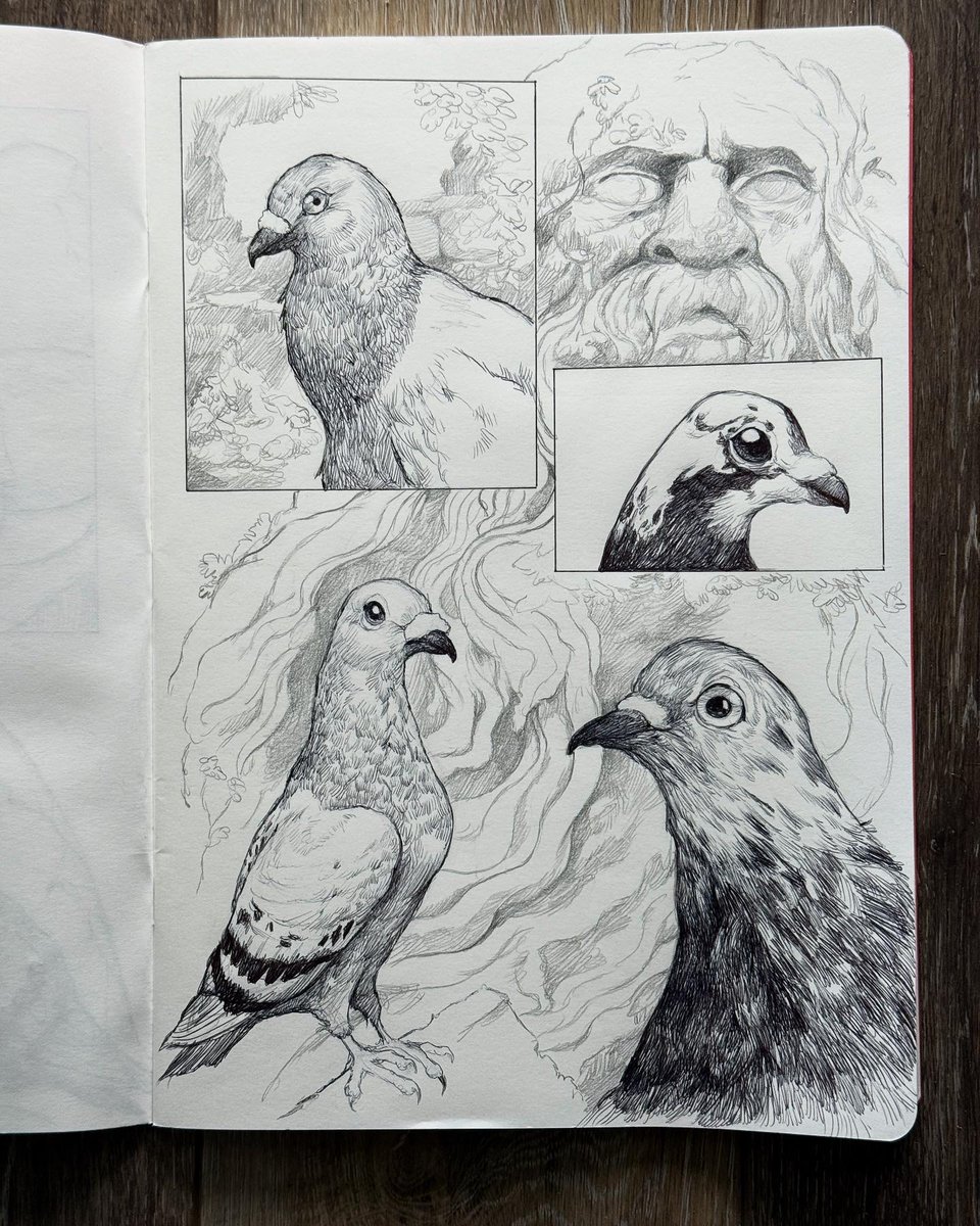 Dave Mottram tweet media