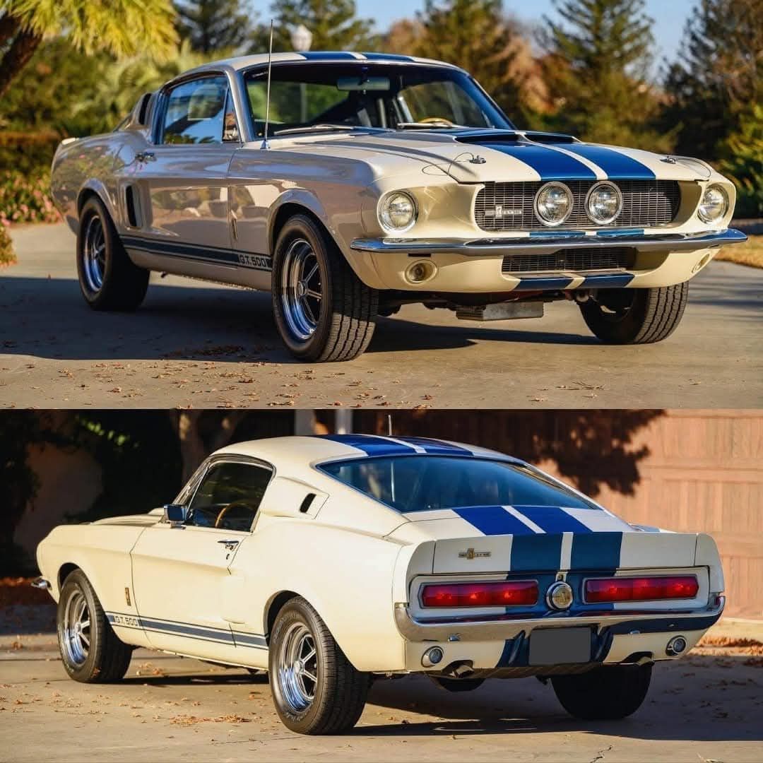 ♦️🔸️💎🔸️♦️🔹️💎🔹️♦️🔸️💎🔸️♦️

🔸️ Like❓️🔹️Love❓️🔸️Leave❓️

1967 Shelby GT350 Ford Mustang
Unleash the power of the 1967 Shelby GT350 Ford Mustang! A classic blend of raw performance and iconic style, this muscle car is a true legend on the road. 🏎️💨