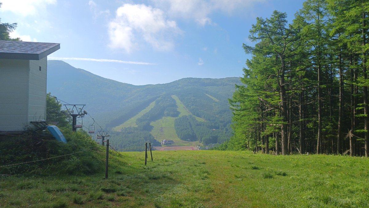 info_yunomaru's tweet image. 湯の丸高原から、おはようございます。
6月18日水曜日8:00現在、気温18℃、良い天気です。
レンゲツツジの開花状況ですが、つつじ平もおおむね見頃となっています。
8:30からリフト運転開始です。
いきなりの盛夏の陽気、高原にお出かけください。