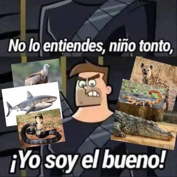 nox (@noxi445) on Twitter photo 