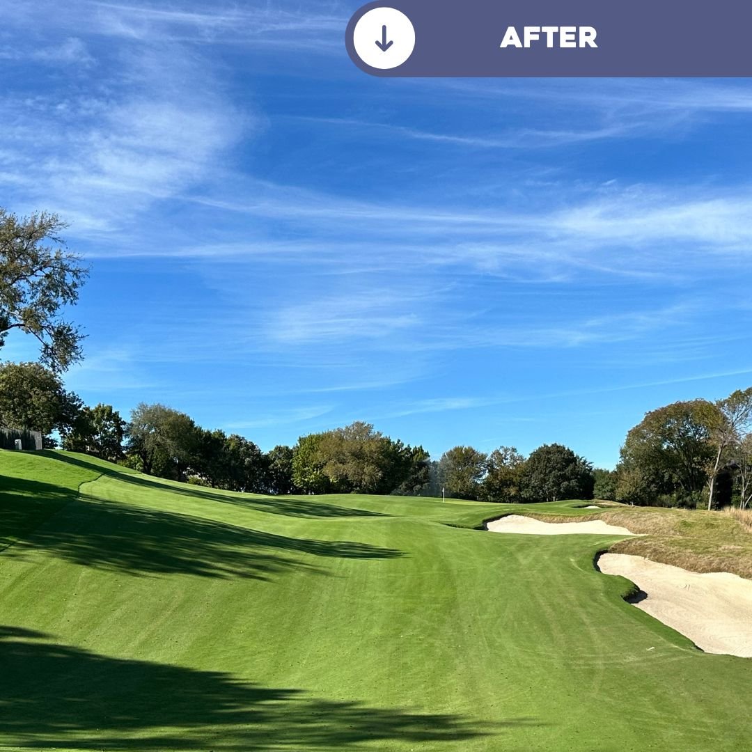 OCMGolf's tweet image. Six years on from our remodel of @ShadyOaksGolf & the native area along the right of the 7th just gets better and better. Only once the trees were removed did we find this wonderful section of rolling, rocky ground along the right of the hole.